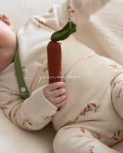 Load image into Gallery viewer, Carrot Newborn Set
